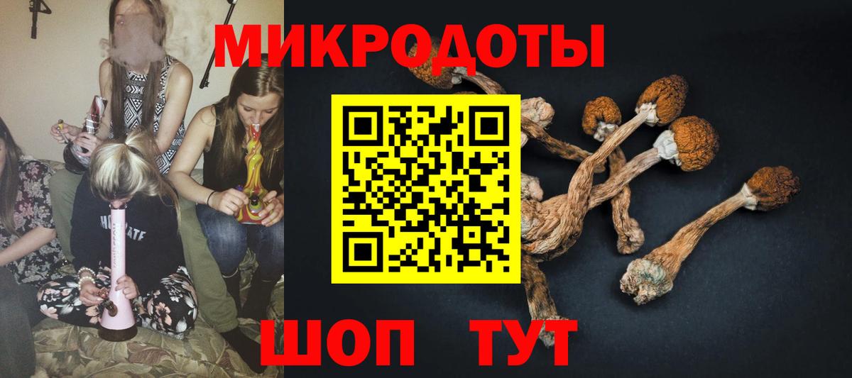 Галлюциногенные грибы GOLDEN TEACHER Ирбит
