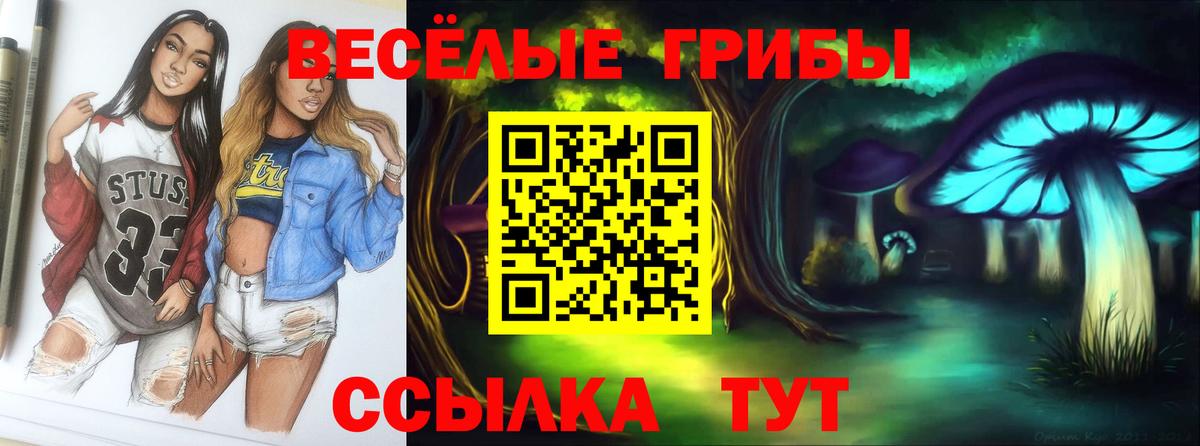 Ирбит  Галлюциногенные грибы Cubensis  Вход с VPN 